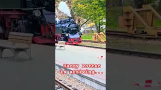 Hogwarts Express arriving in Binz subscribe harrypotter steamtrain shorts germany hogwarts [upl. by Mungo]