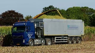 Mais Hakselen 2018  Part 2  Loonbedrijf Hartmann  NH FR9060  Steyr terrus  Volvo FH440 [upl. by Zeidman]