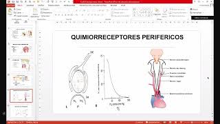 1 Cursillo Fisiología Respiratoria [upl. by Eilah]