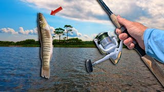 Try This OTHER Live Bait You Wont Be Disappointed Tips and Techniques [upl. by Grefe]