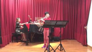 Devienne Flute sonata in D major 1st Mov [upl. by Fiester]