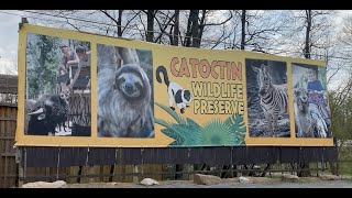 Catoctin Wildlife Preserve [upl. by Arraet]