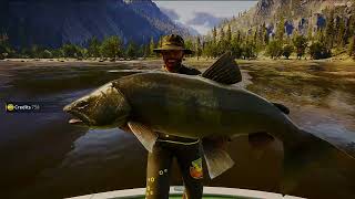 The Angler Legendary Sidewinder Golden Ridge Reserve Nov 20th  27th  2024 [upl. by Halie]