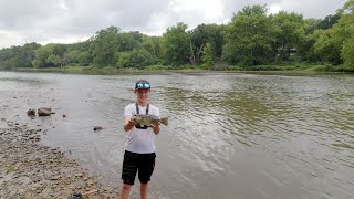 NONSTOP SMALLMOUTH ACTION  Fox River in Batavia Illinois [upl. by Haelahk]