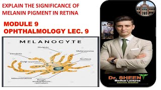 EXPLAIN THE SIGNIFICANCE OF MELANIN PIGMENT IN RETINA [upl. by Nasus]