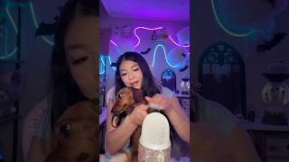 Real or Fake🐶 asmr shorts [upl. by Narf]