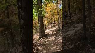 Back40 trail Arkansas mtb [upl. by Eniledgam]