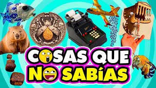 🧠 ¡ 30 DATOS CURIOSOS y COSAS QUE NO SABÍAS  😲⏰️ 38 [upl. by Demaria403]