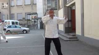 M° Wang Zhi Xiang Taiji quan 85 form part 1 [upl. by Nesnej126]