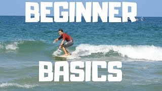 Learn How To Surf In 10 Minutes [upl. by Aguie]