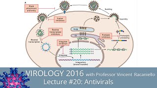 Virology Lectures 2016 20 Antivirals [upl. by Ardnekan]