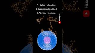 Repasa fisiología Endocrina  Preguntas y respuestas de la fisiología del sistema endocrino [upl. by Erbas]