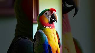 🦜 Parrots That Talk Back Natures Mimics facts animals birds facts [upl. by Earehc]