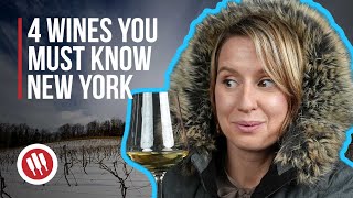 New York Region Guide Everything you need to know [upl. by Bollay65]