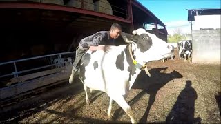 Vacances de printemps à la ferme 2016 GoPro [upl. by Jerold]