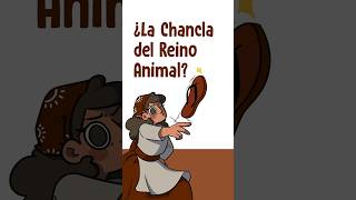 ¿La Chancla del Reino Animal [upl. by Aneeras]