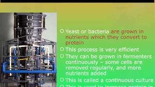 IGCSE 26 Microorganisms in the Food Industry extended [upl. by Durst240]