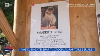 Vado 30 gatti spariti caccia al rapitore seriale  La vita in diretta 14092023 [upl. by Atiuqihs]