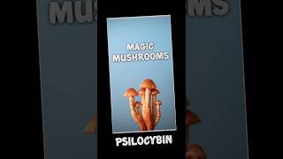 Magic Mushrooms — Everything You Need To Know [upl. by Anayk]