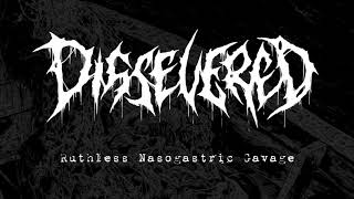 Dissevered  “Ruthless Nasogastric Gavage Scaphism 4way split 2017  New Standard Elite [upl. by Marlena]