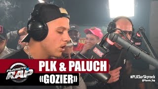 PLK quotGozierquot ft Paluch PlanèteRap [upl. by Nnyw797]