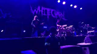 The Saw is the Law  Whitechapel  Live Laval 2023 [upl. by Ruon510]