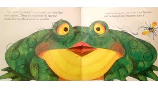 The WideMouthed Frog by Keith Faulkner and Jonathan Lambert [upl. by Prouty]