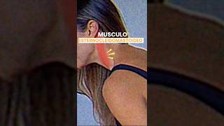 ❗️MUSCULO ESTERNOCLEIDOMASTOIDEO❗️anatomia sabiasque tips fisio dolor cuello cervicales [upl. by Shantee531]