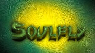 SoulflyRefuseResist [upl. by Suirauqram368]