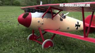 Test PARKZONE Albatros DVa von HORIZON HOBBY [upl. by Kenrick]