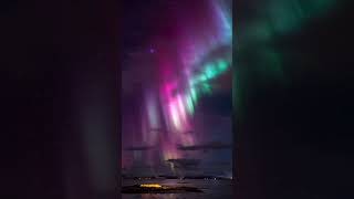 THE BEST NORTHERN LIGHTS shorts viral northernlights [upl. by Durrett32]