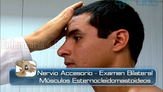 🌟NERVIO ACCESORIO  EXAMEN BILATERAL  MÚSCULOS ESTERNOCLEIDOMASTOIDEOS🌟 [upl. by Sinnaiy]