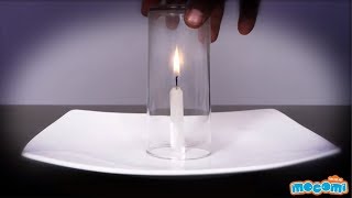 Glass and Candle Experiment  Science Projects for Kids  Educational Videos by Mocomi [upl. by Lucille]