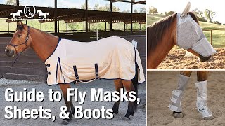 Guide to Horse Fly Masks Sheets amp Boots [upl. by Auqinehs]