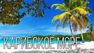 Карибское море Колыбель пиратства  Интересные факты про Карибы [upl. by Enairda]