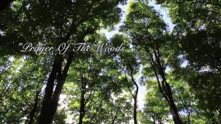 Tony Dekker  Prayer of the Woods Album Preview [upl. by Lagas486]