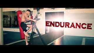 8x world BJJ champ Caio Terra cardio training with VersaClimber [upl. by Sulokcin]