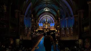 Notredame Basilica … montreal notredame youtubeshorts shorts youtube [upl. by Annoet447]