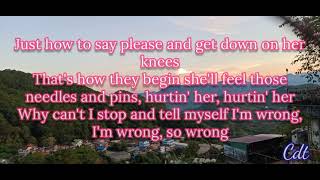 NEEDLES AND PINSlyrics  SMOKIE [upl. by Naimed]