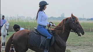 Best Horse Riding School In Bangladesh [upl. by Perrie552]