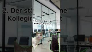 POV Kollegen die jeder kennt funny tiktok cat katze shorts pov viralvideo [upl. by Nniw488]