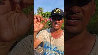 ultralight fishing method Tamil super fishing method in tamil ultra light lures of best result fish [upl. by Boggers]