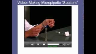 16 Lab demonstration  Making Micropipette Spotters [upl. by Yoreel]