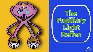 The Pupillary Light Reflex [upl. by Elinet375]