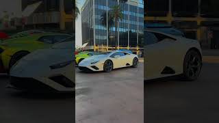 Lamborghini Huracán Evo RWD V10👻 automobile cartok youtube youtubeshorts music car [upl. by Ethbin464]