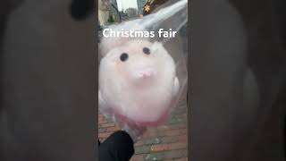 Christmas fair christmas alliwantforchristmasisyou merrychristmas music christmassongs [upl. by Laban889]