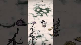 Dont Starve Together Spinny Wheel dontstarvetogether dontstarve [upl. by Derman558]