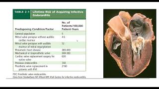 Infective endocarditis  General medicine  DrKarrar Abdulzahra [upl. by Starks433]