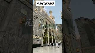 Ya Rasool AllahNaatIslamic Short [upl. by Bartholomeo]