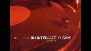 DJ Cam  Mad Blunted Jazz [upl. by Amelie426]